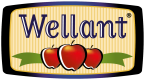 Wellant